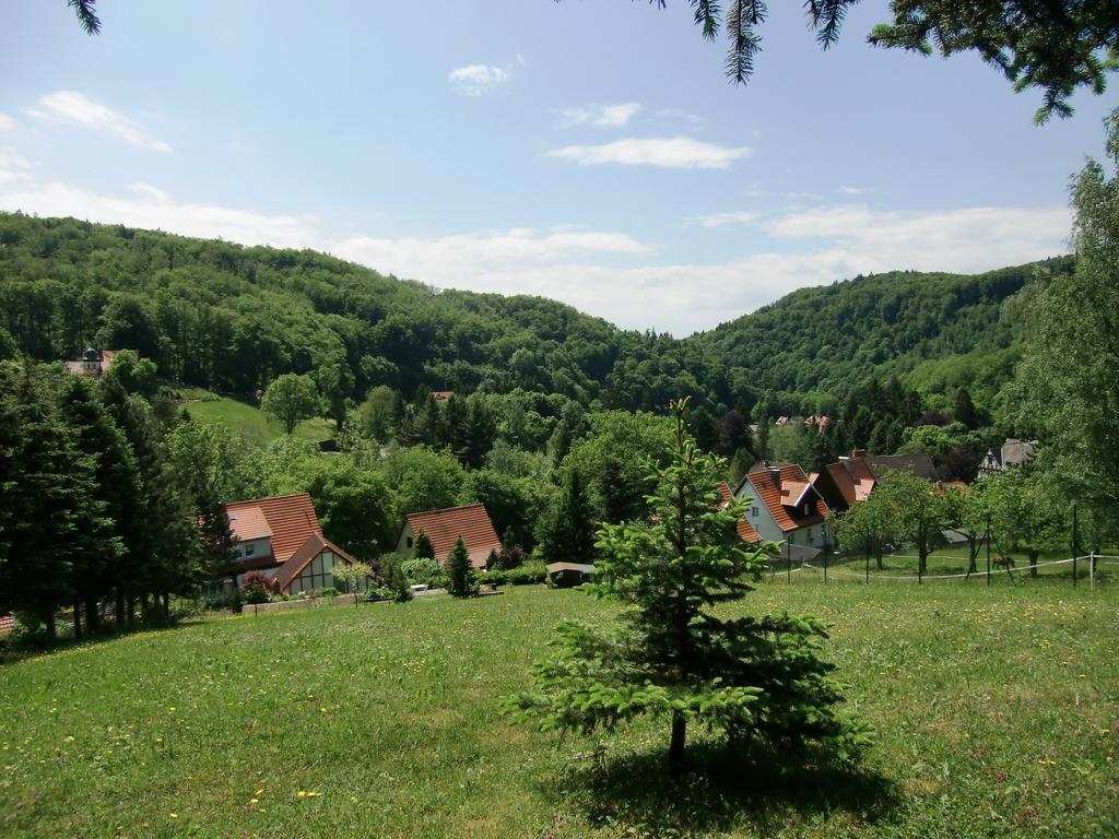 Ferienhaus Haus Am Wald Stolberg i. Harz 외부 사진