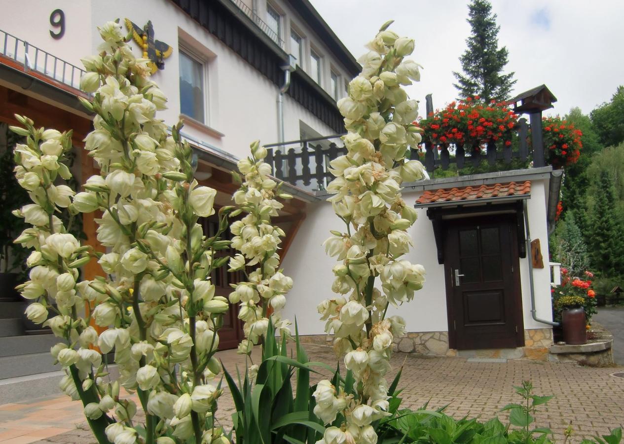 Ferienhaus Haus Am Wald Stolberg i. Harz 외부 사진